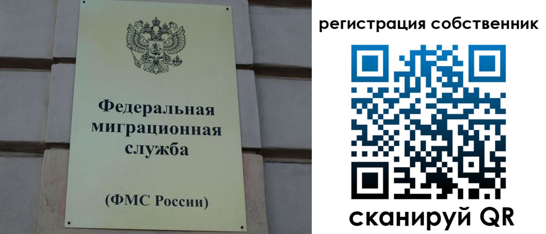 прописка гарантия в Алатыре